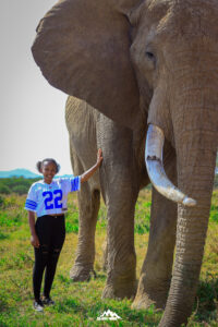 one on one with an elephant at ol jogi conservancy with zee afri tours