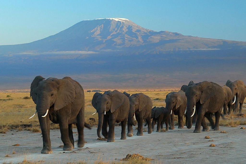 Amboseli lodges with view of Kilimanjaro