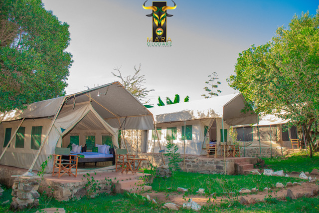 Mara Olodare Maasai Mara