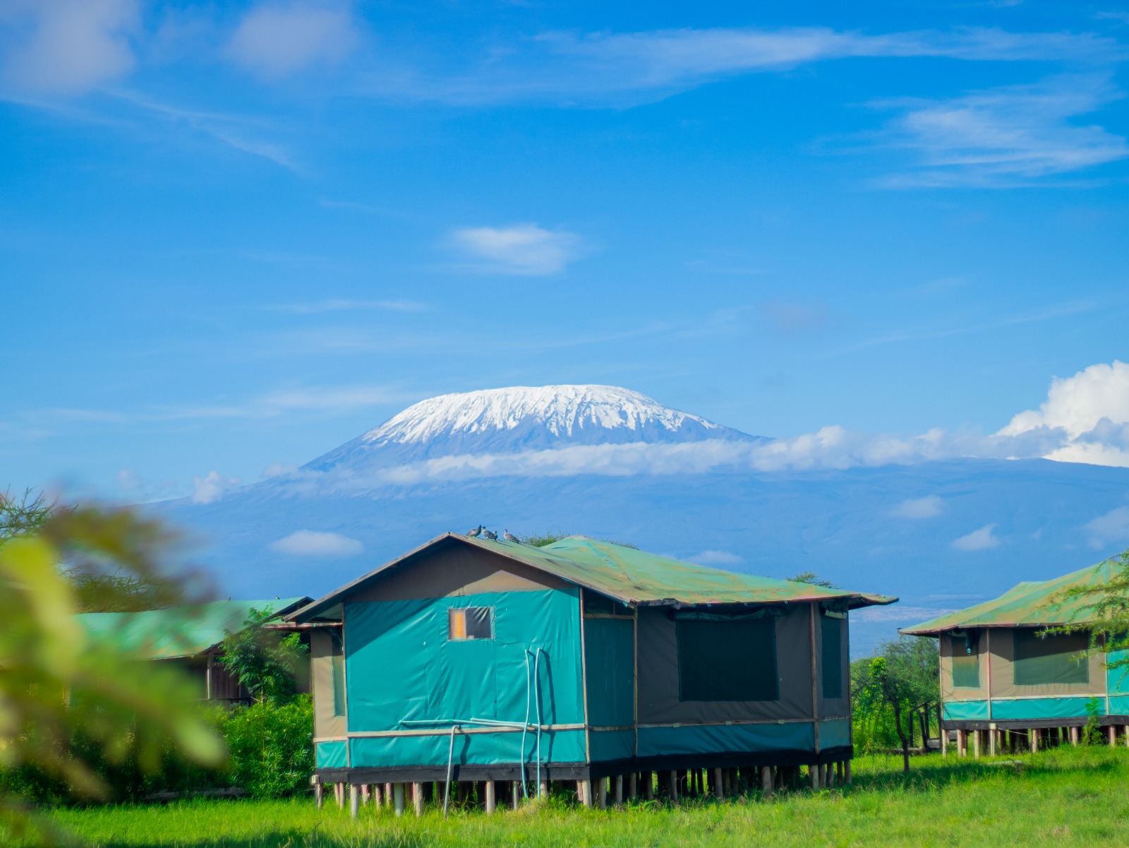 Nyati Safari Camp, Amboseli