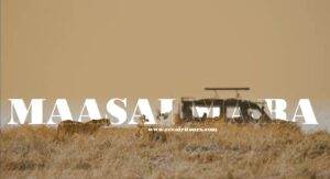 Best tour operator for safari in kenya