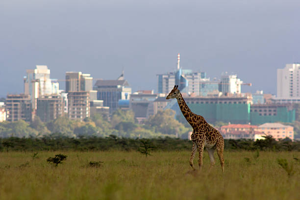 Nairobi hotels and lodges