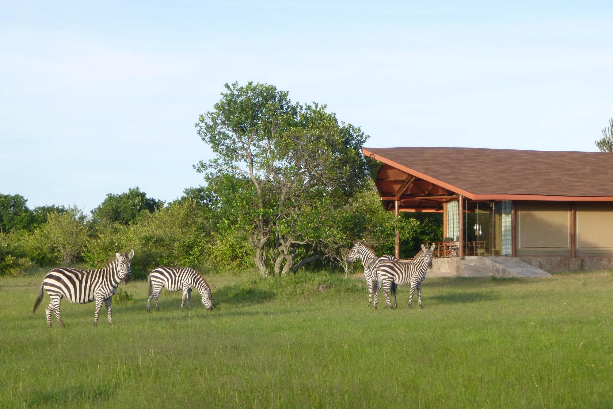 Simba Oryx Nature Camp Maasai Mara